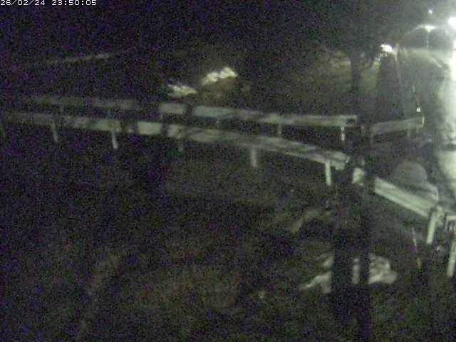 小田川１2026/02/25 2:30:00