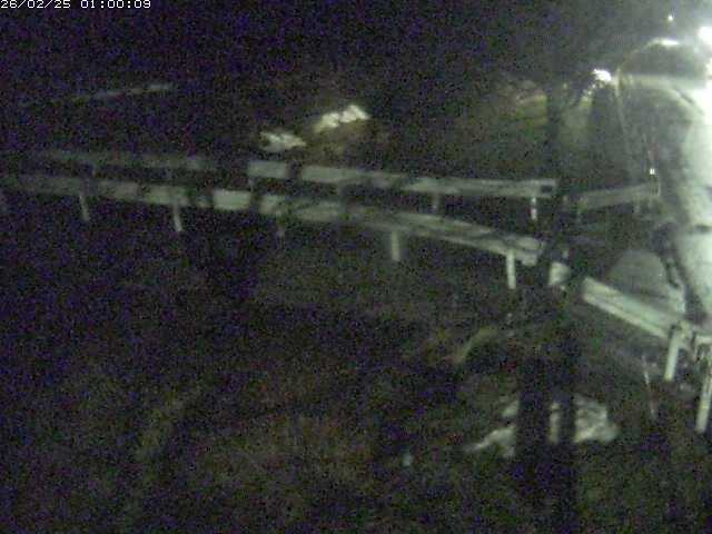 小田川１2026/02/25 2:30:00