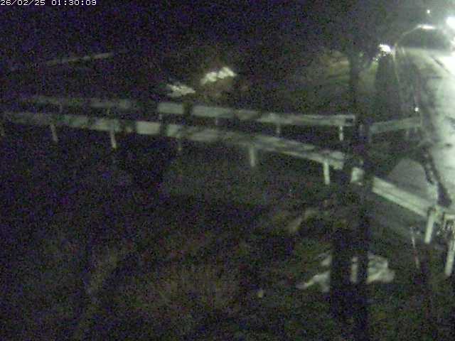 小田川１2026/02/25 2:30:00