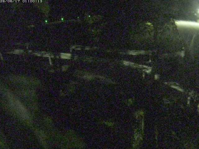小田川１2026/06/17 12:00:00