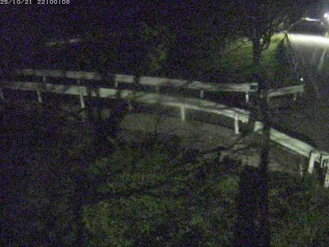 小田川１2025/10/22 11:20:00