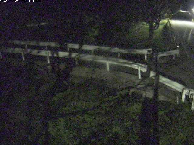 小田川１2025/10/22 11:20:00
