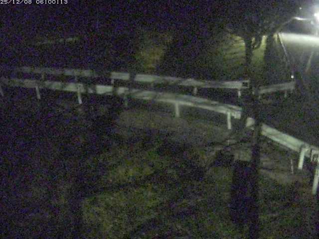 小田川１2025/12/08 11:30:00