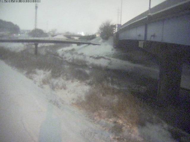 野坂川２2026/01/24 2:50:00