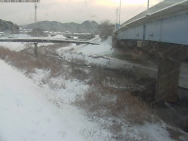 野坂川２2026/01/24 2:50:00