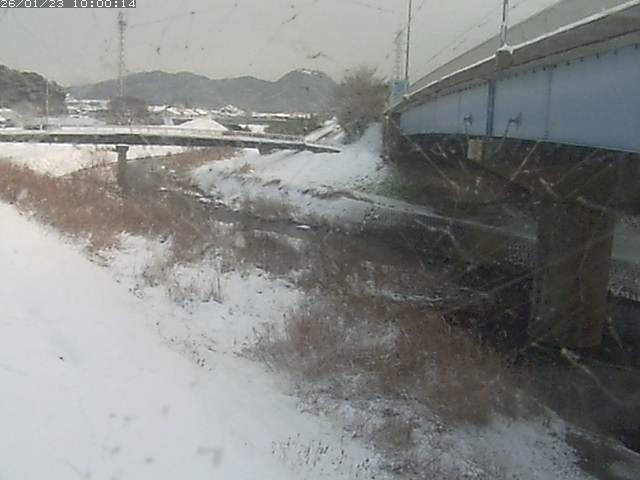 野坂川２2026/01/24 2:50:00