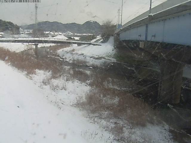 野坂川２2026/01/24 2:50:00