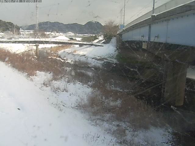 野坂川２2026/01/24 2:50:00
