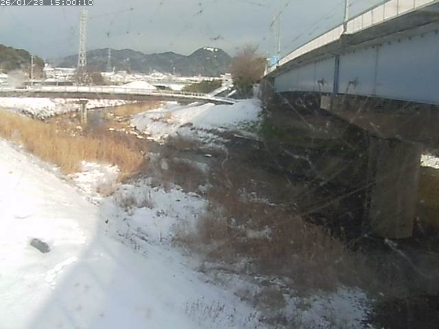 野坂川２2026/01/24 2:50:00