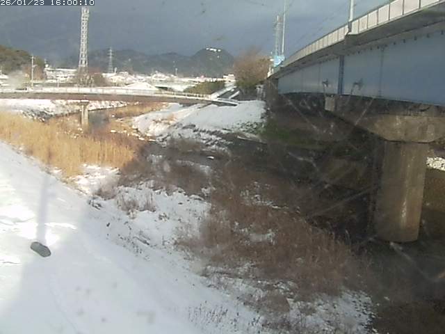 野坂川２2026/01/24 2:50:00