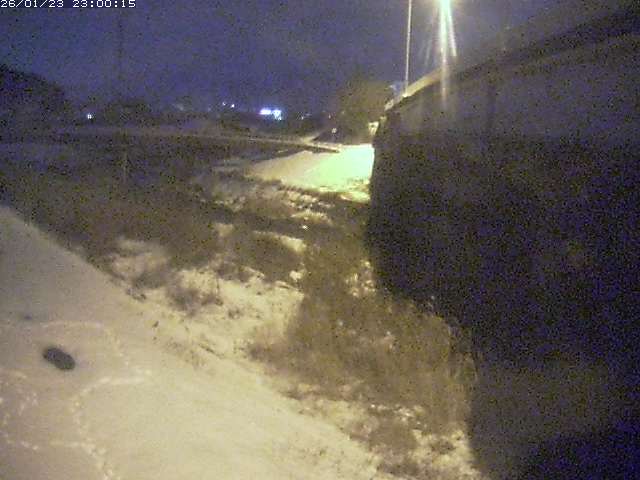 野坂川２2026/01/24 2:50:00