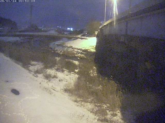 野坂川２2026/01/24 2:50:00