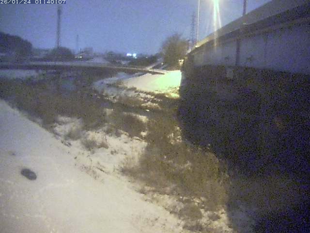 野坂川２2026/01/24 2:50:00
