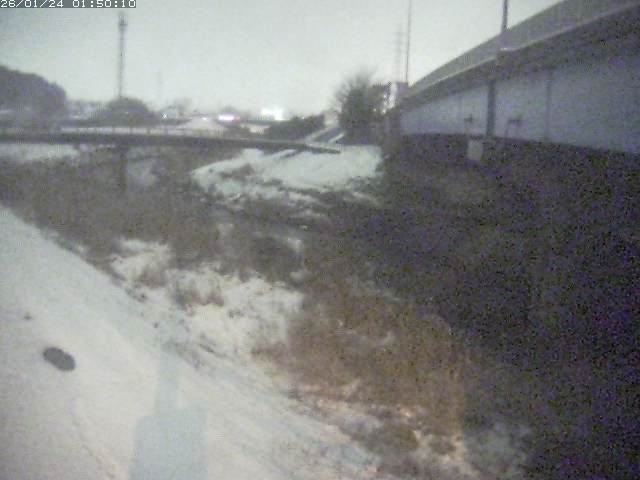 野坂川２2026/01/24 2:50:00