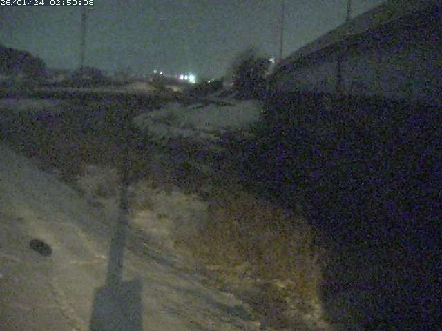 野坂川２2026/01/24 2:50:00