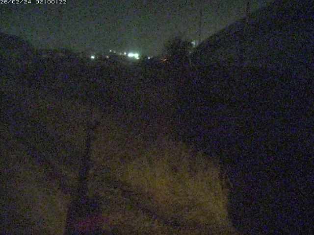 野坂川２2026/02/25 2:30:00