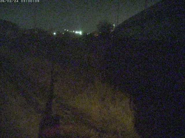 野坂川２2026/02/25 2:30:00