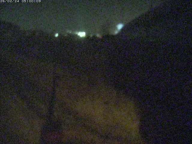 野坂川２2026/02/25 2:30:00