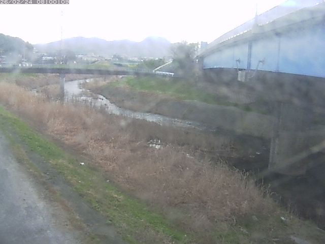 野坂川２2026/02/25 2:30:00