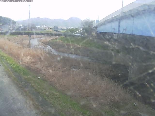 野坂川２2026/02/25 2:30:00