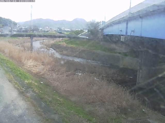 野坂川２2026/02/25 2:30:00