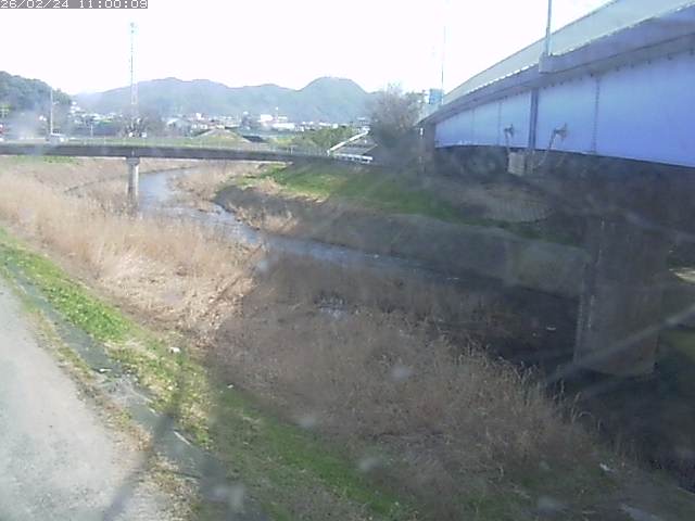 野坂川２2026/02/25 2:30:00