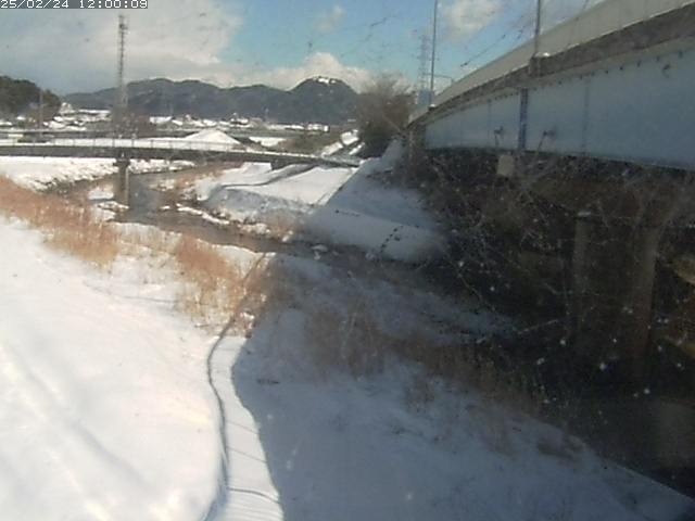 野坂川２2026/02/25 2:30:00