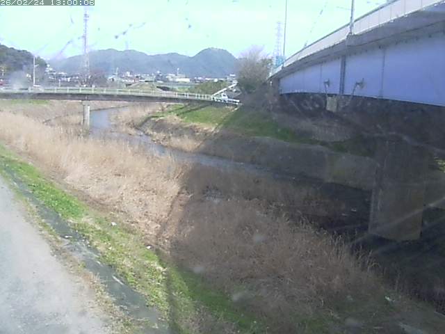 野坂川２2026/02/25 2:30:00