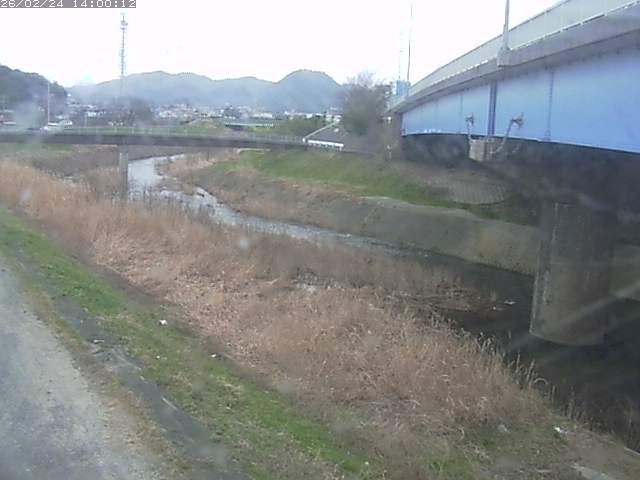 野坂川２2026/02/25 2:30:00