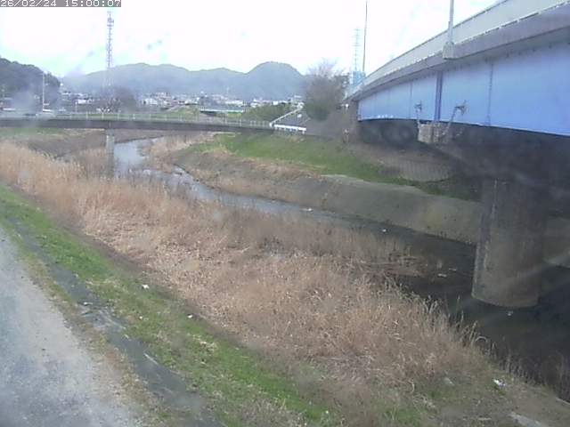 野坂川２2026/02/25 2:30:00