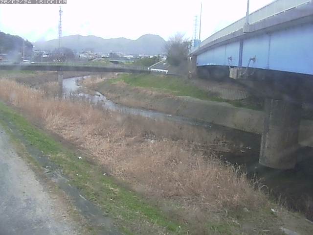 野坂川２2026/02/25 2:30:00