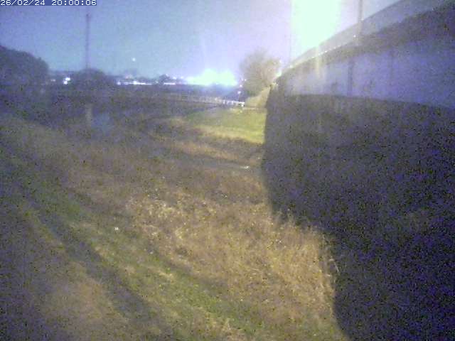 野坂川２2026/02/25 2:30:00