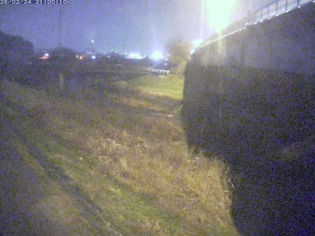 野坂川２2026/02/25 2:30:00