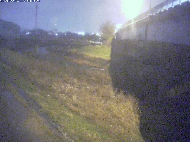 野坂川２2026/02/25 2:30:00