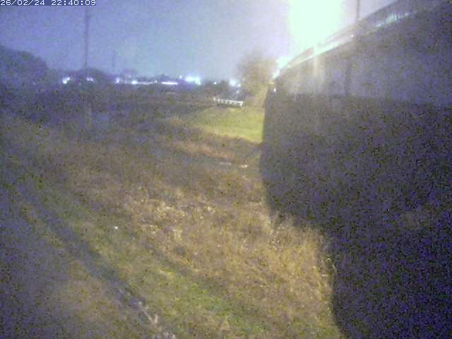 野坂川２2026/02/25 2:30:00