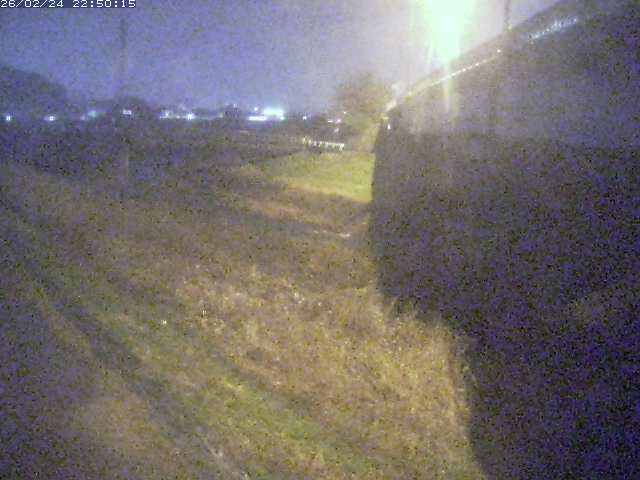 野坂川２2026/02/25 2:30:00