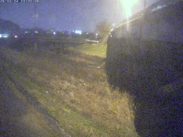 野坂川２2026/02/25 2:30:00