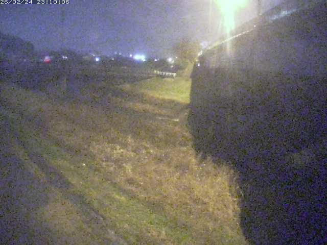 野坂川２2026/02/25 2:30:00