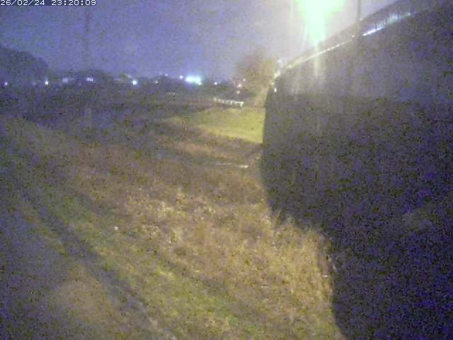 野坂川２2026/02/25 2:30:00