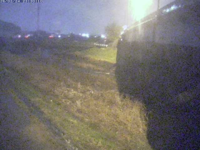 野坂川２2026/02/25 2:30:00