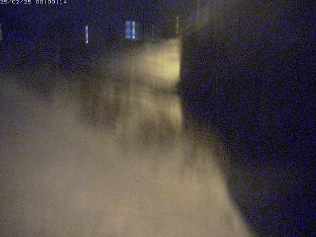 野坂川２2026/02/25 2:30:00