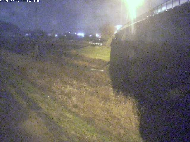 野坂川２2026/02/25 2:30:00