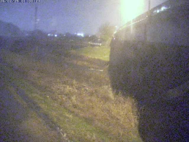 野坂川２2026/02/25 2:30:00