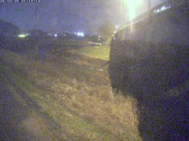 野坂川２2026/02/25 2:30:00