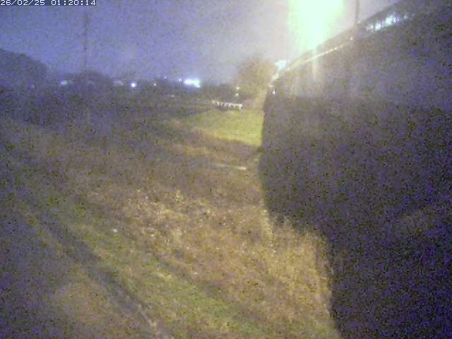 野坂川２2026/02/25 2:30:00