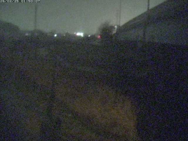 野坂川２2026/02/25 2:30:00