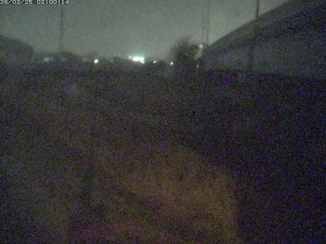 野坂川２2026/02/25 2:30:00