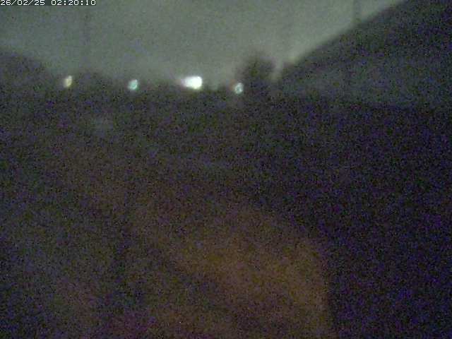 野坂川２2026/02/25 2:30:00