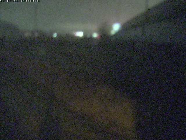 野坂川２2026/02/25 2:30:00