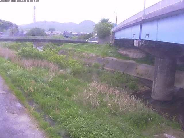 野坂川２2026/05/01 16:50:00